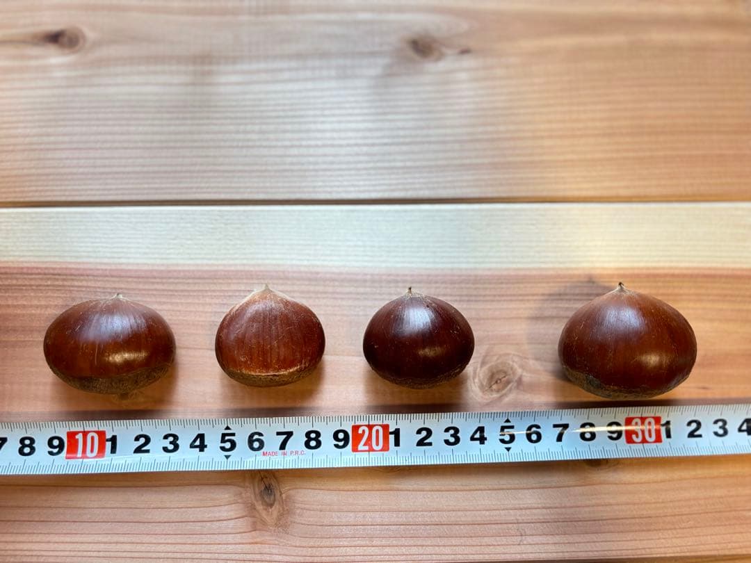 笠間栗 大粒 5kg