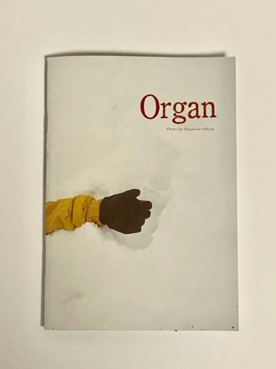 Organ オルガン 写真集 アユニ•D