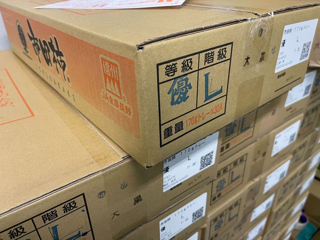 ① 【長野県産】JAみなみ信州　市田柿　 L〜2Lのサイズお任せ