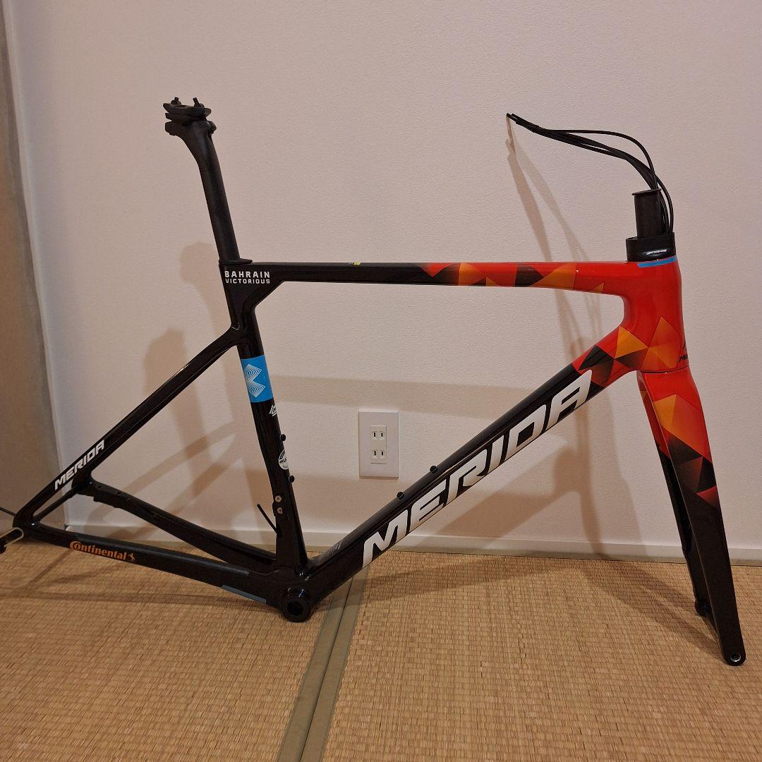 キノコ　メリダ スクルトゥーラ　 バーレーンヴィクトリアス