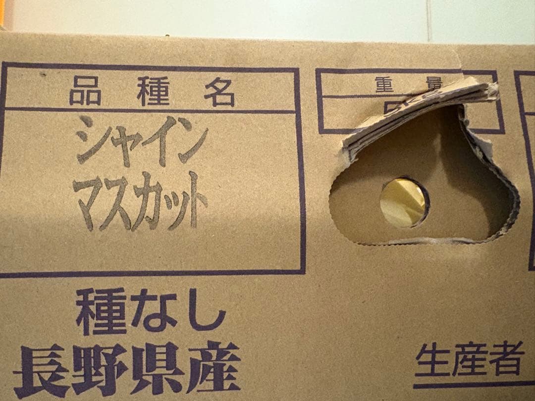 長野県産　シャインマスカット 10房セット　5kg
