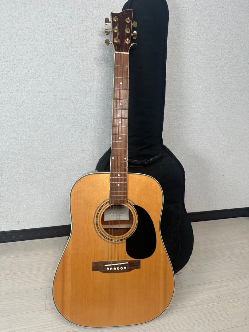 Jay Turser MODEL No. 500 プロ仕様 ※31※