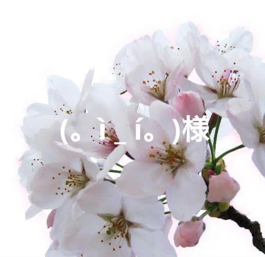 (。ì _ í。)様