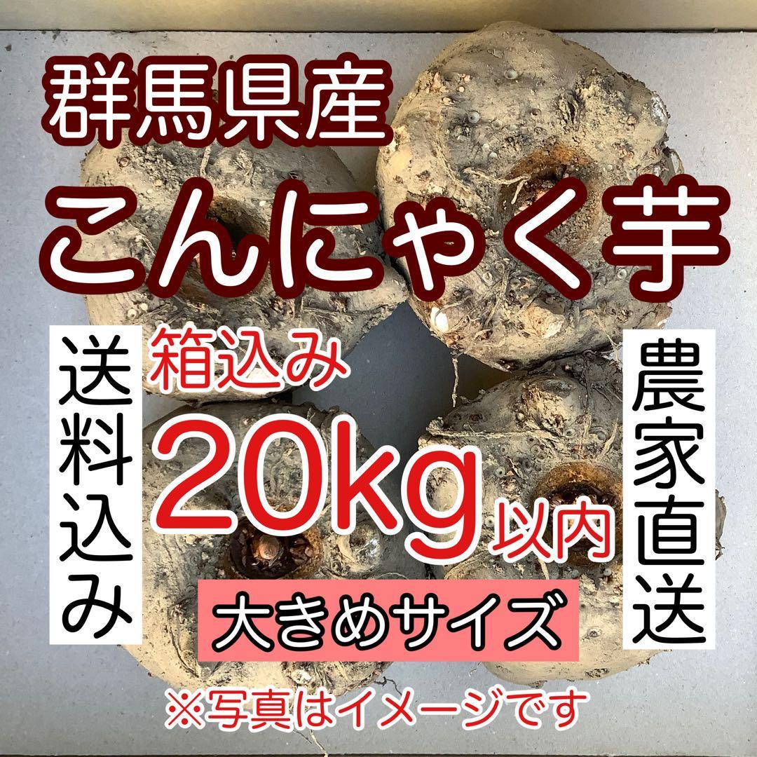 こんにゃく芋　大きめサイズ箱込み２０キロ