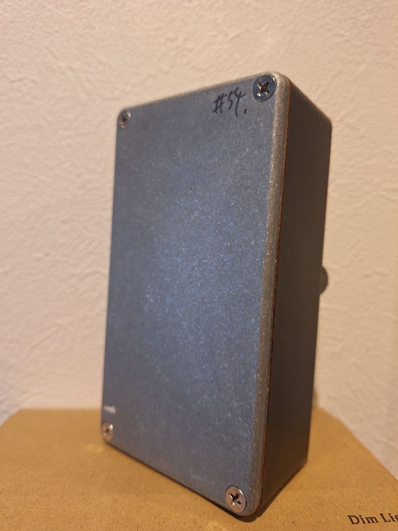 ギター 1995FX/Dim Light