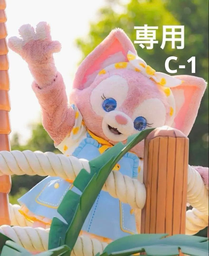 専用ページ