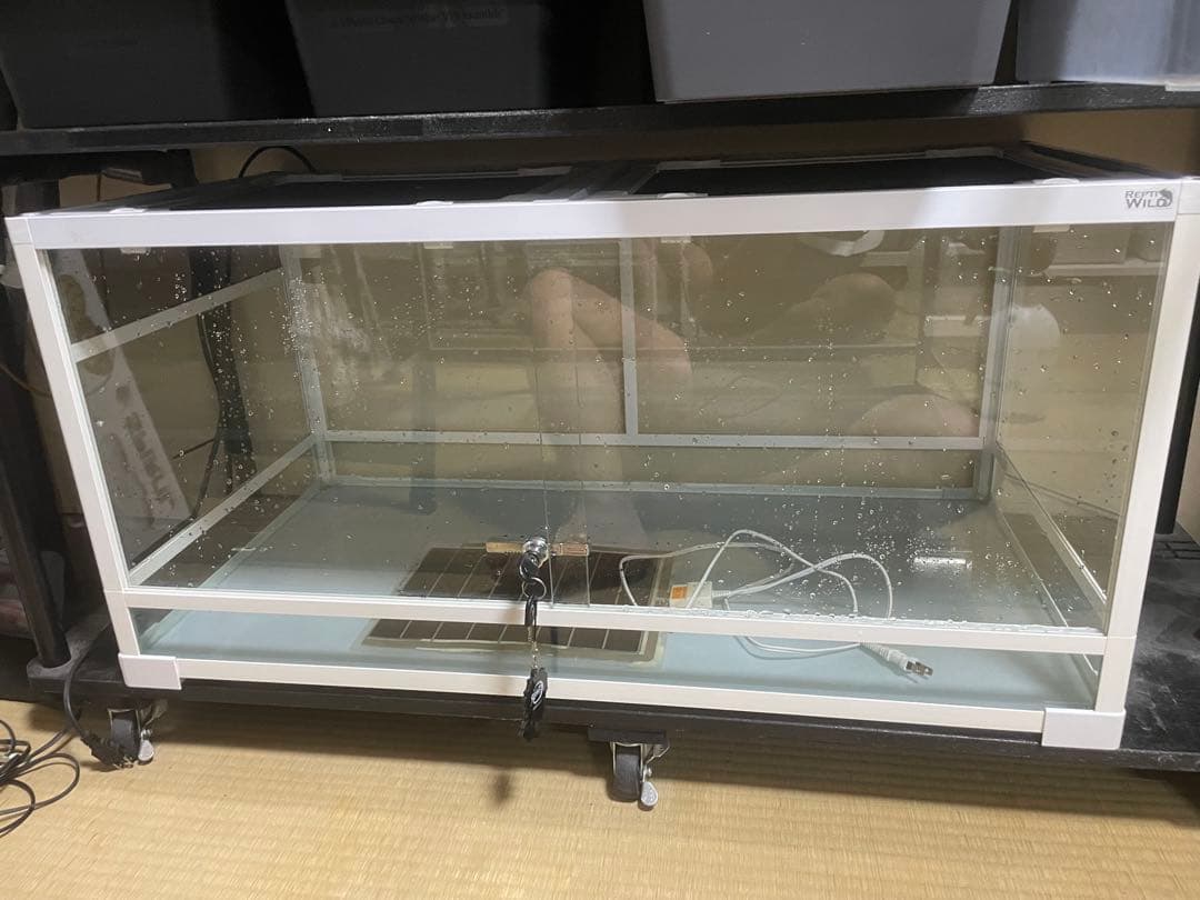 レプティワイルド パンテオン 9045 暖突M付き 美品
