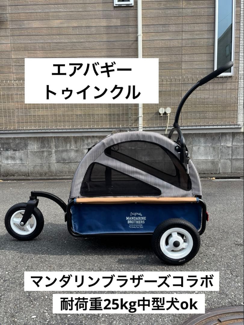 エアバギー　トゥインクル