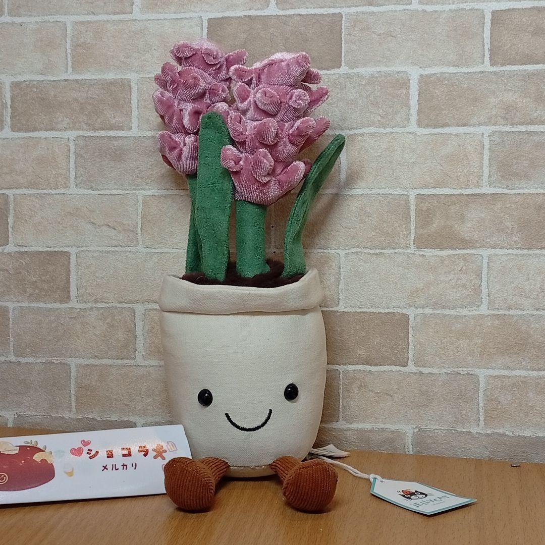  Hyacinth ジェリーキャット　ヒヤシンス お花　花植木鉢