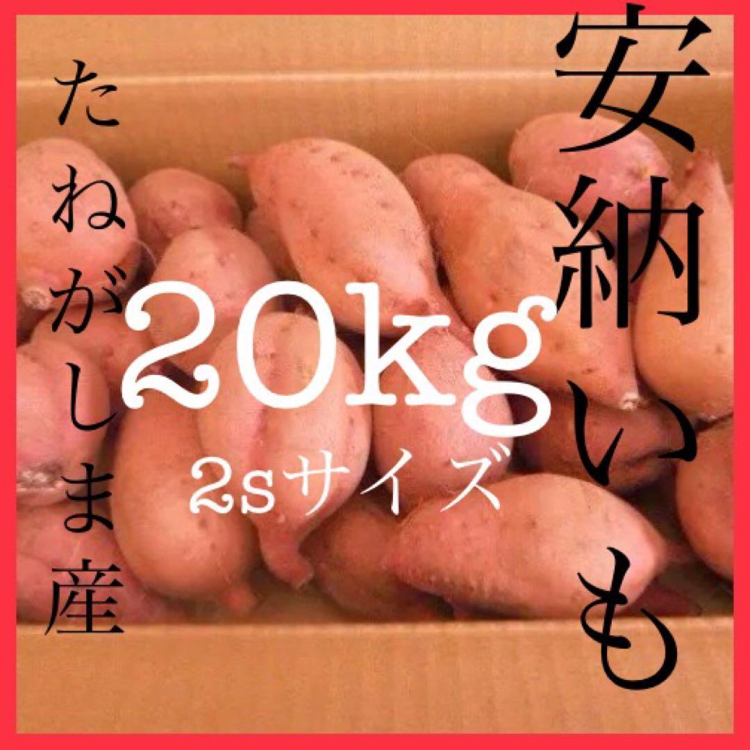 種子島産安納芋　2sサイズ20kgさつまいもの王道おやつに　#安納芋