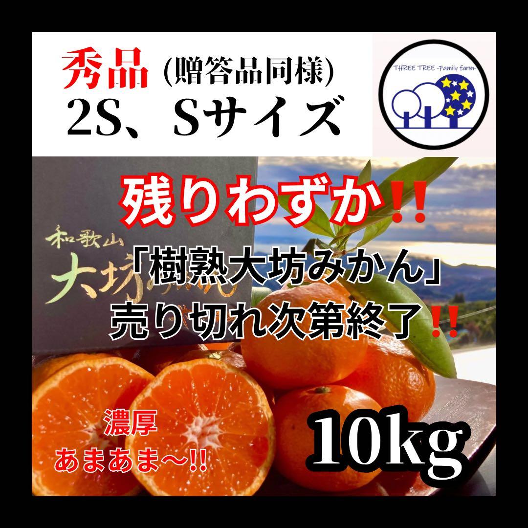 ⑤温州みかん 樹熟大坊みかん 秀品(贈答品同様)2S、Sサイズ10kg