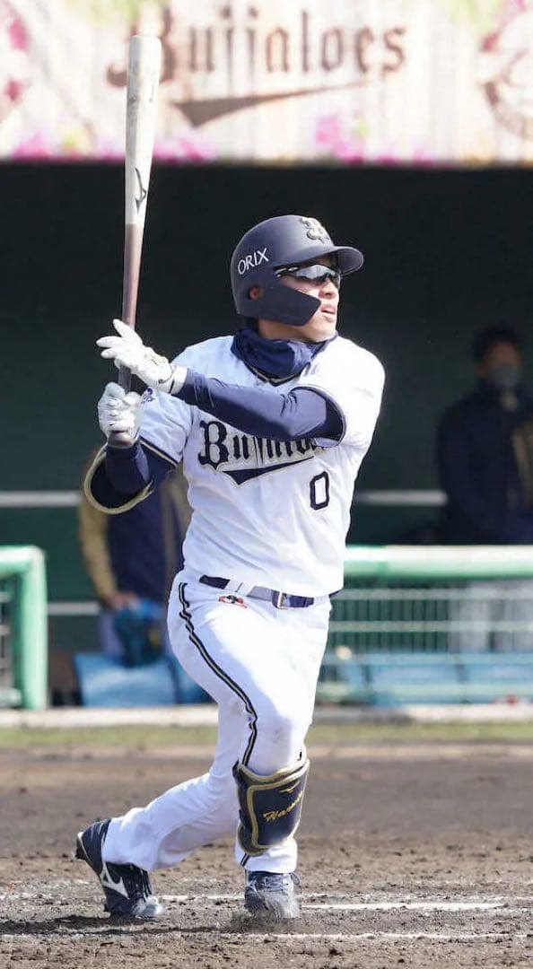 硬式野球木製バット、NPB公認マーク付き、オリックスバファローズ渡部遼人選手