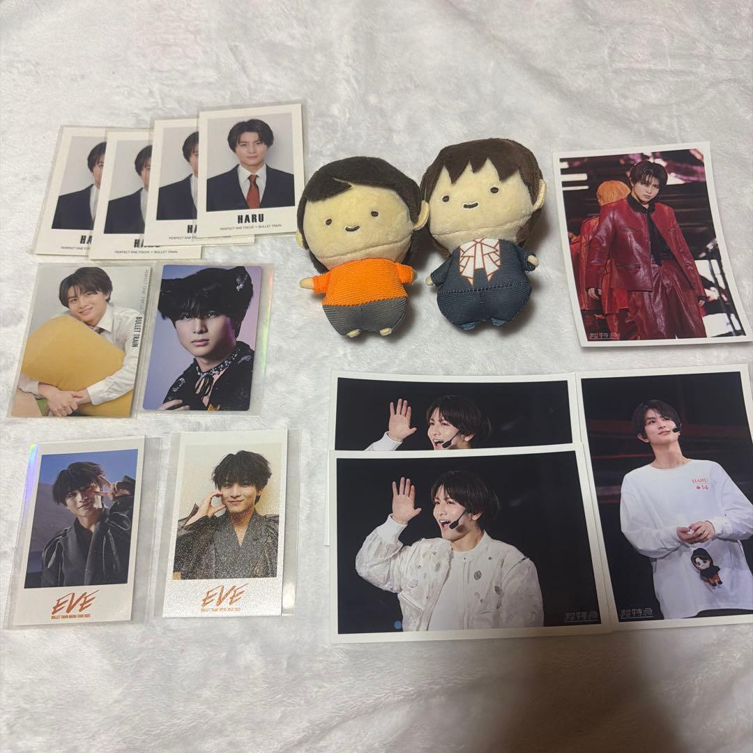 超特急 ハル まとめ売り ぬいぐるみ 生写真 フォトカード