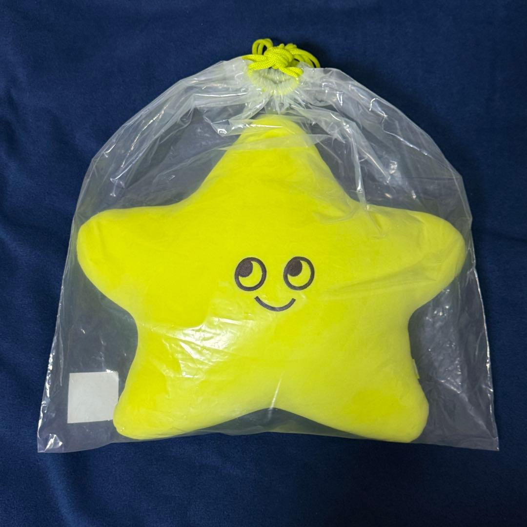 NCT127 taeyong テヨン プルガサリ 星 クッション