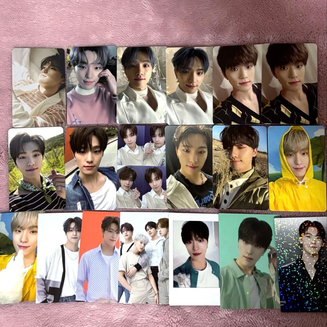 seventeen ディノ