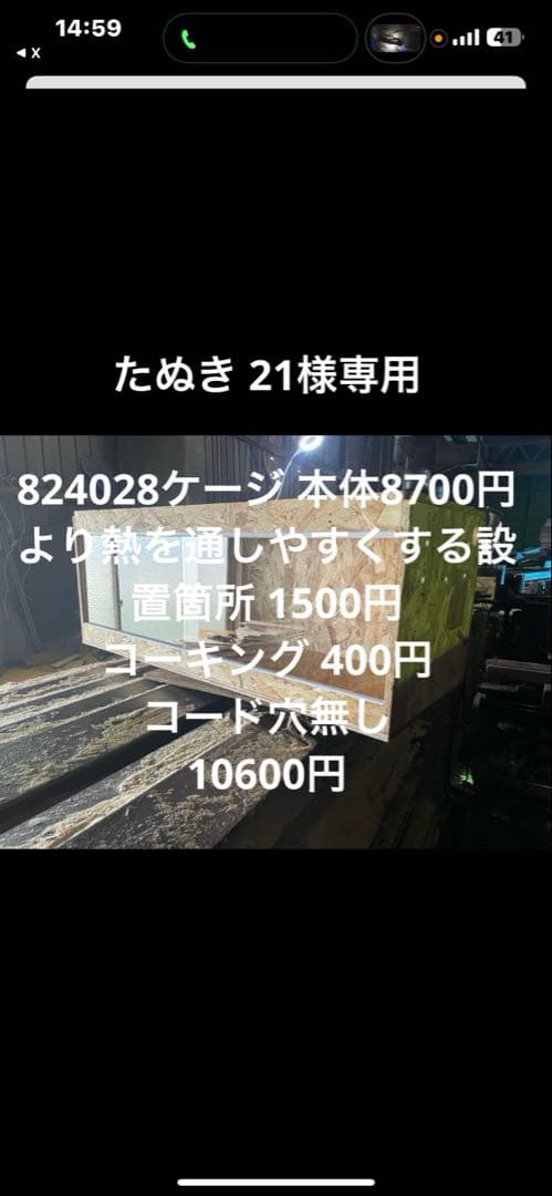 たぬき 21　824028
