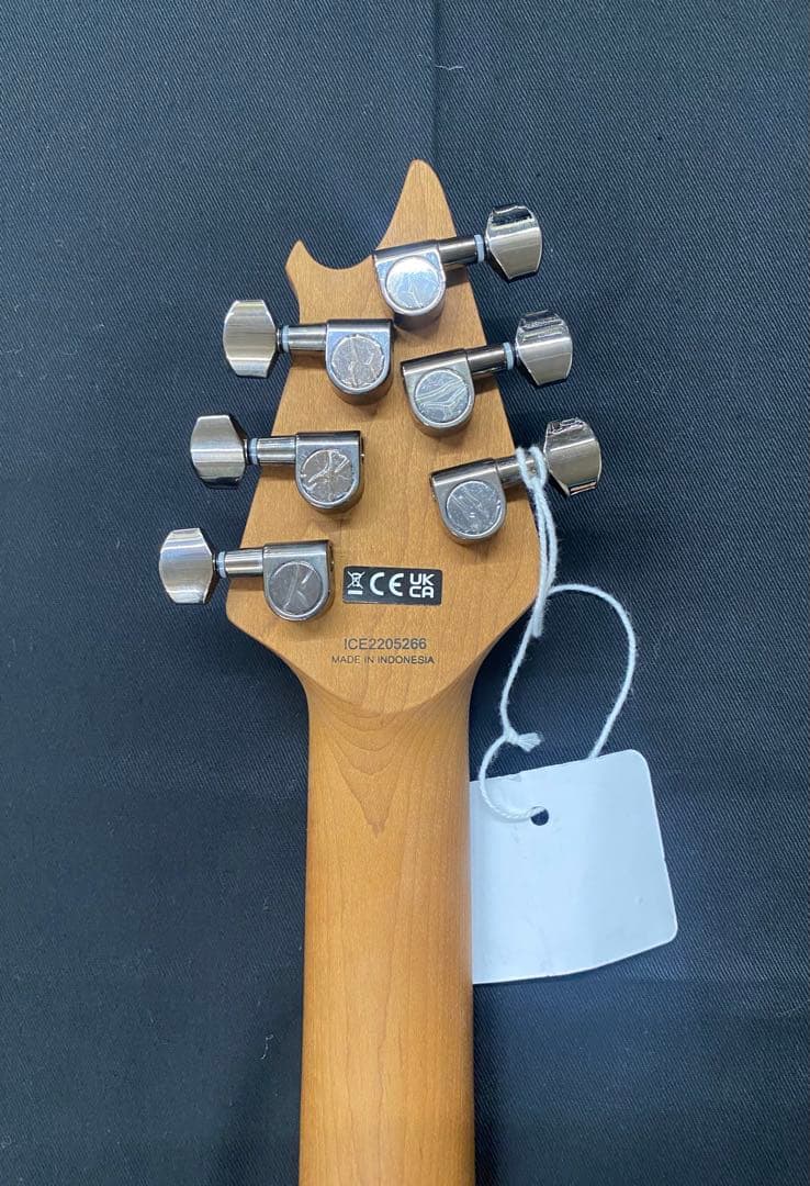 EVH エレキギター★ソフトケース付★
