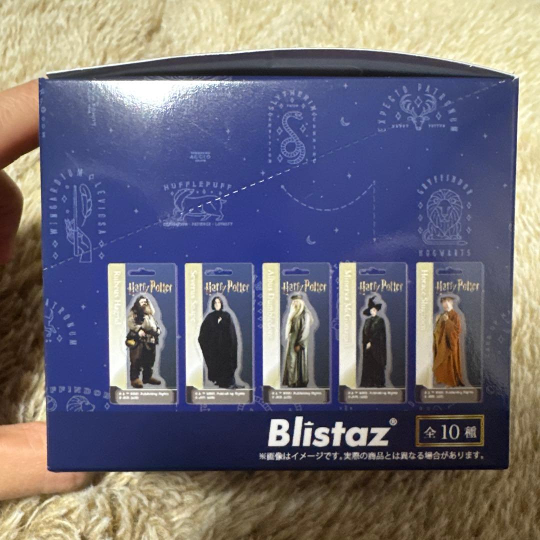 ハリーポッター Harry Potter ブリスター風アクリルキーチェーン
