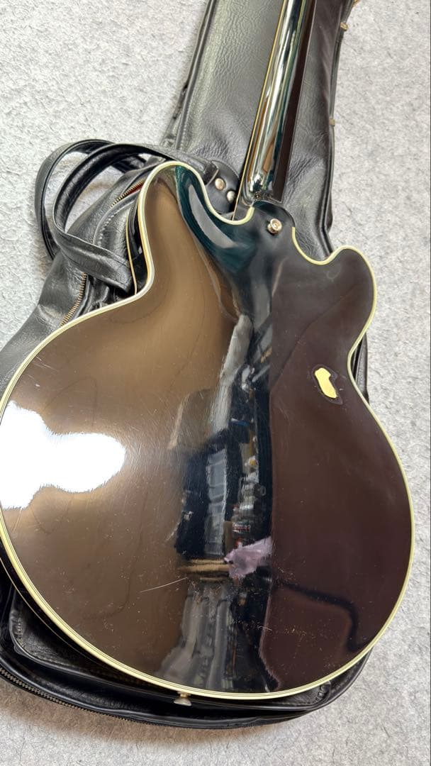 ギター TOM HOLMES THC SemiHollow Standard Block