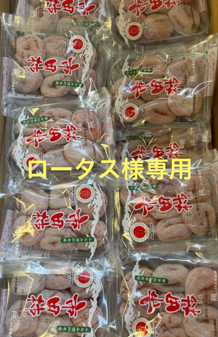 ロータス長野県産市田柿170gパック30パック入り