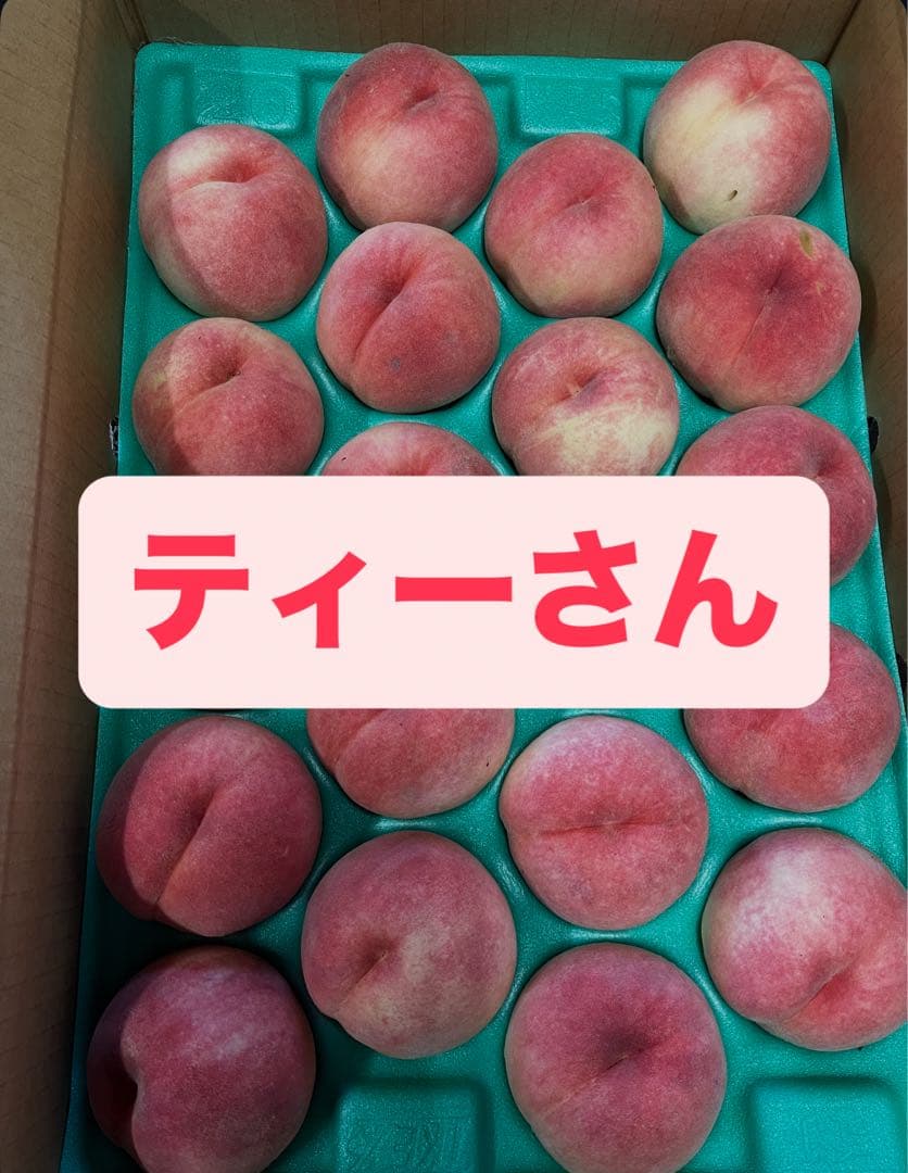 ティーさん 2箱同梱発送