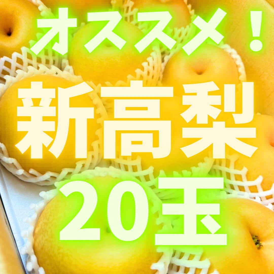 梨　新高梨　10玉を2箱　05