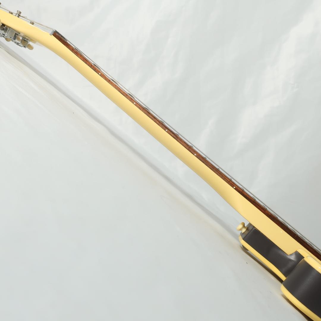 DANELECTRO ダンエレクトロ エレキギター ギグバッグ付 弦交換済