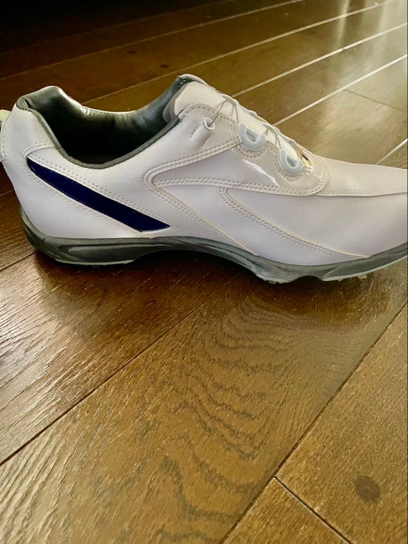 FJ フットジョイ　ゴルフシューズ　ケース付き