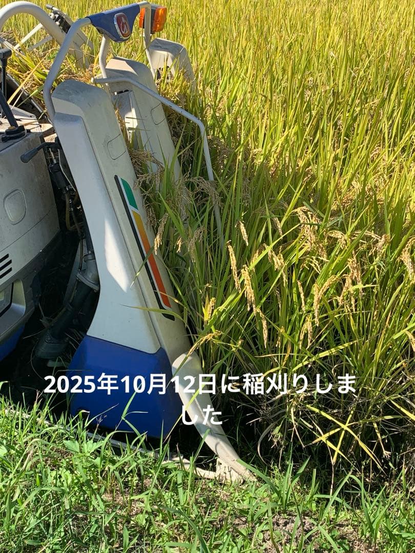 令和7年度産　新米ヒノヒカリ　玄米20kg(送料込)減農薬のお米