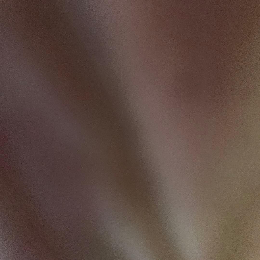 手数