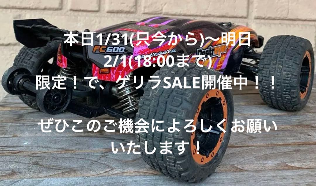 HBX (flyhal) fc600 ブラシレス 激レア希少 かなり速くパワフル