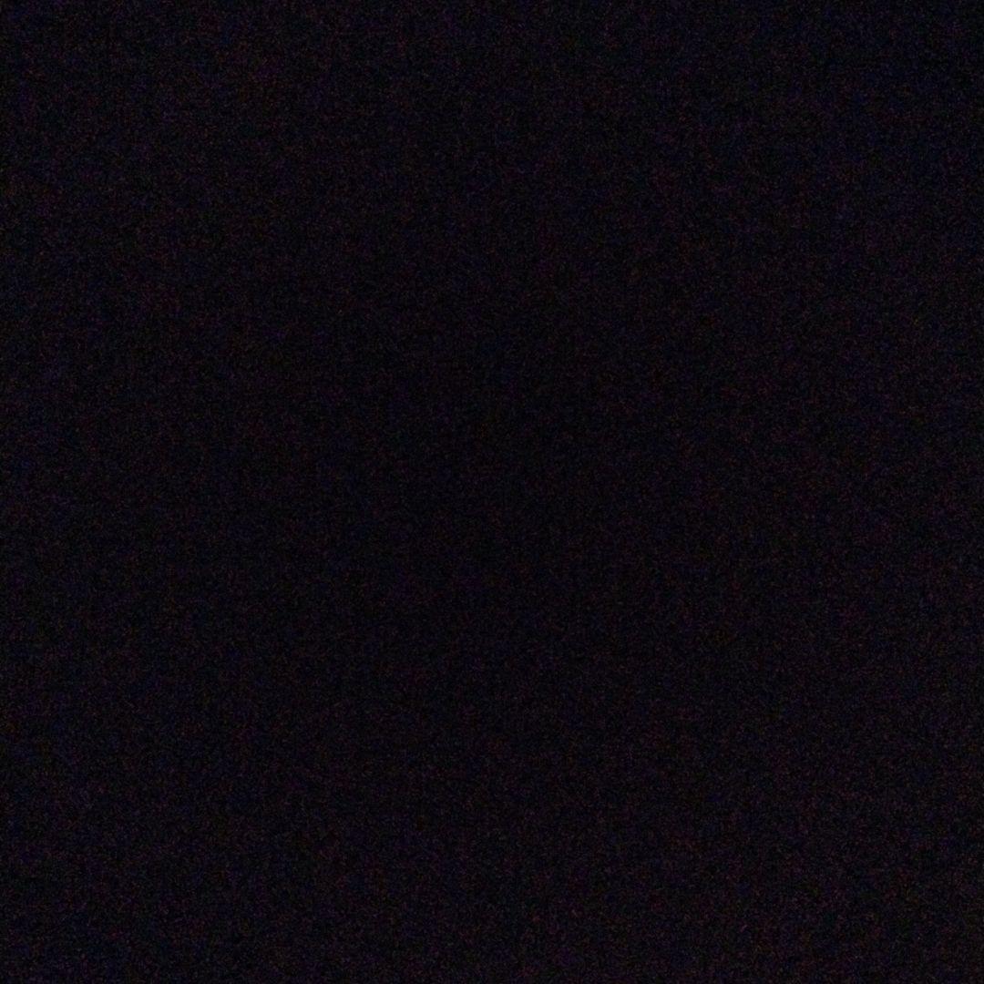 のびた