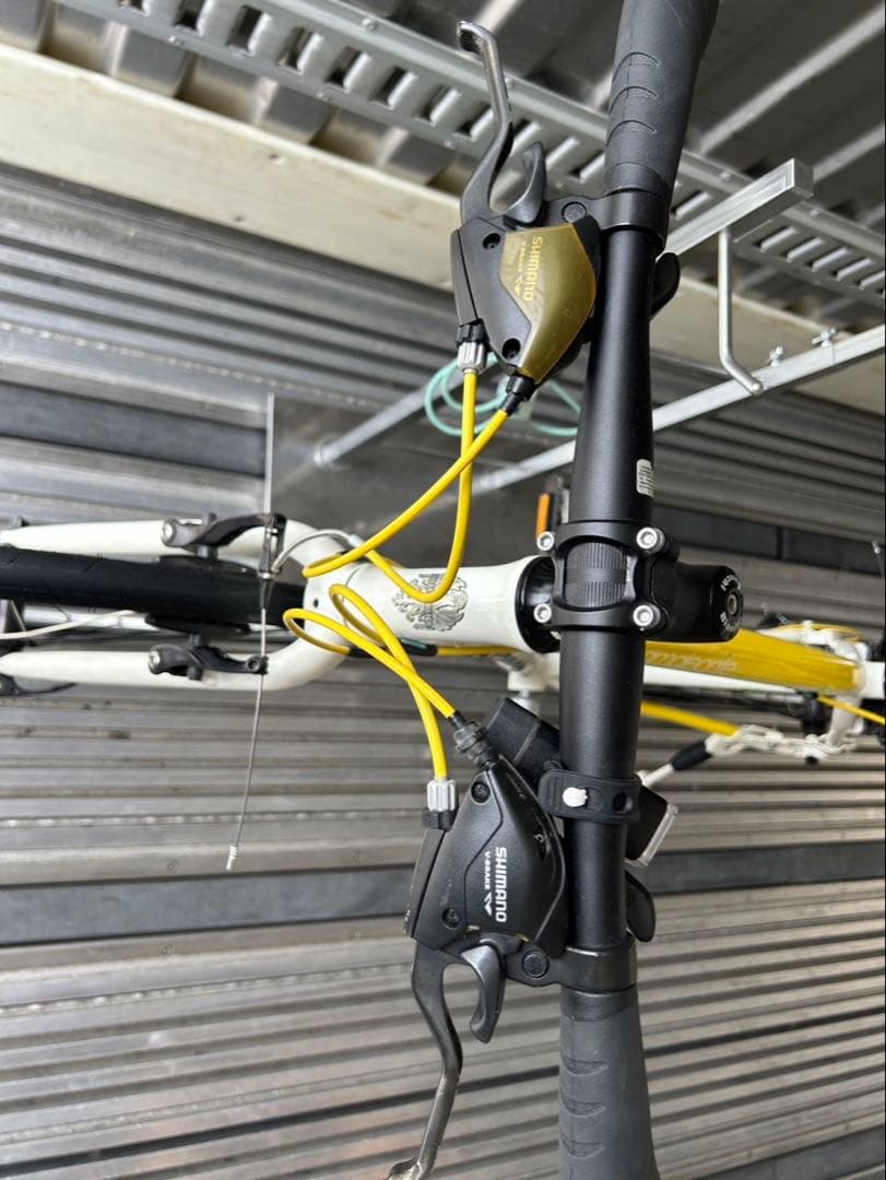 引き取り可能 Bianchi ビアンキ　カメレオンテ
