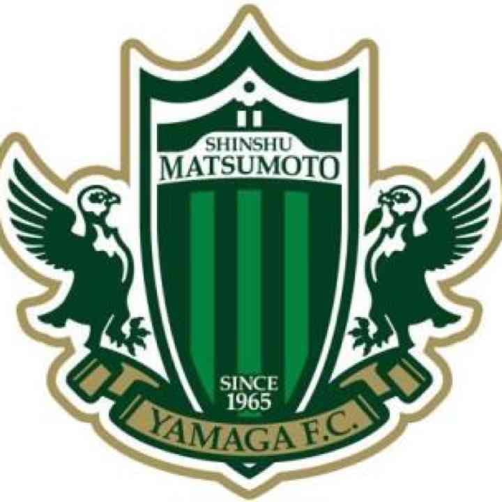松本山雅Ｊ１昇格記念！木製サインボール