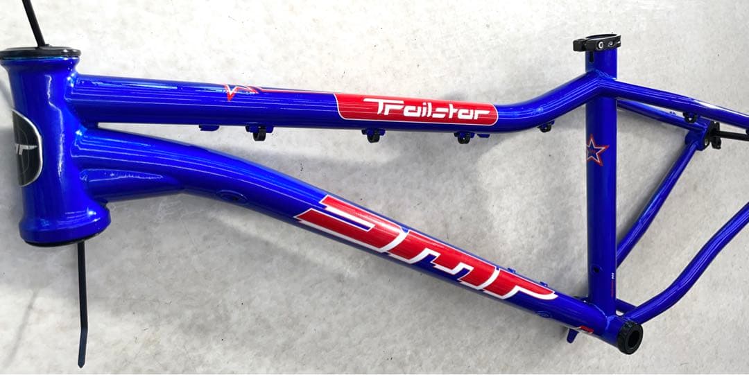 専用　DMR TRAILSTARフレームのみ