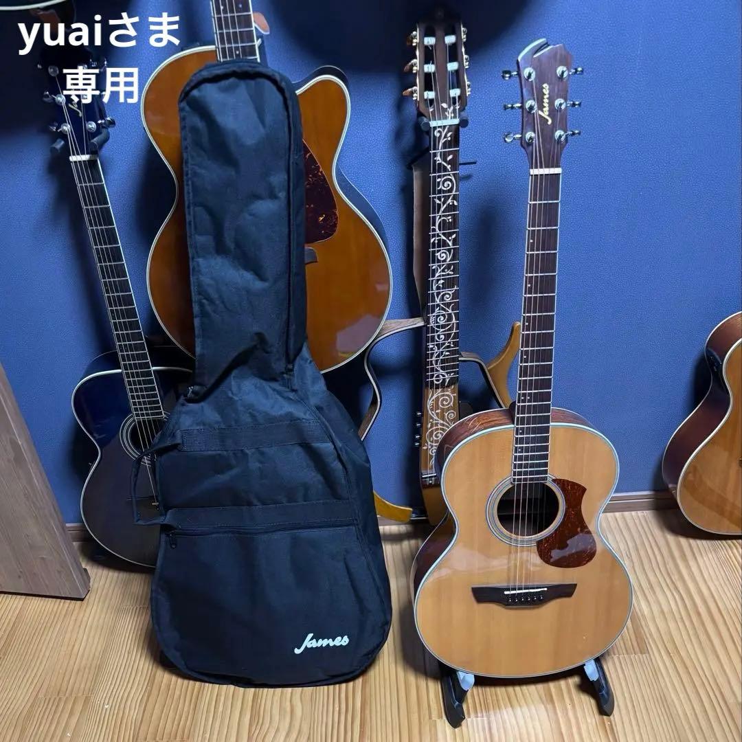 美品James アコギJ-300A NAT 弾きやすい低弦高に調整済　ケース付属