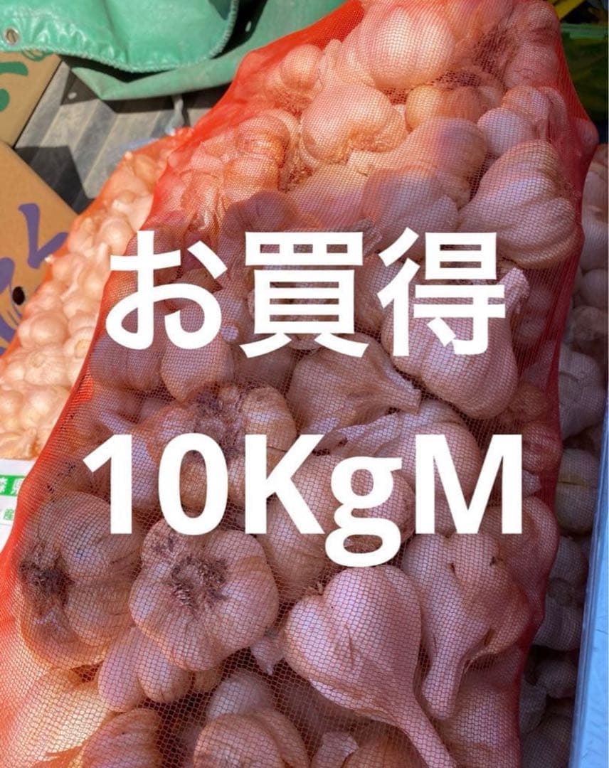 新物　青森県にんにく20キロM 専用