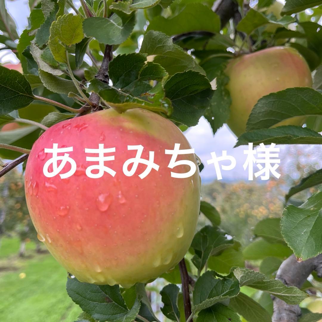 あまみちゃページ✨10kg