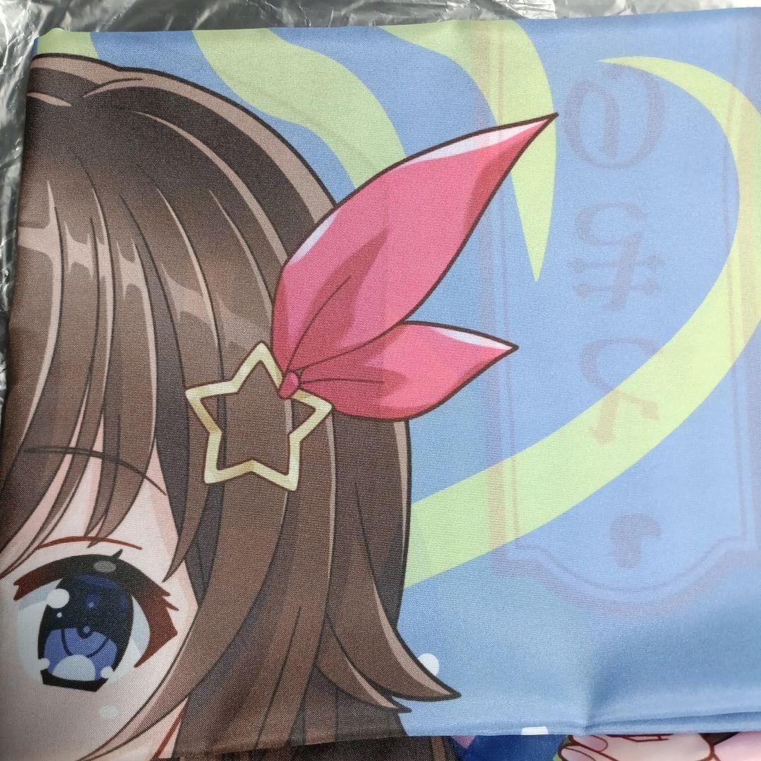 ときのそら 極楽湯・RAKU SPAコラボ フロライフ限定のぼり 当選品