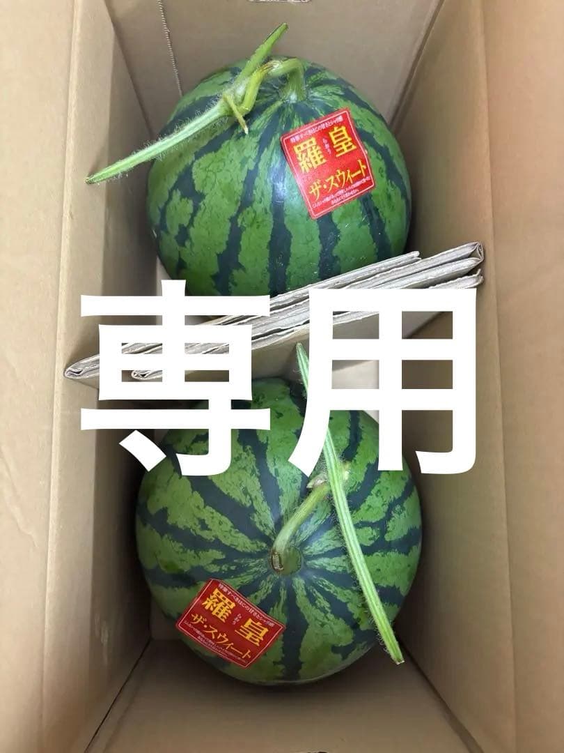 ここ！産地直送！大玉スイカ羅皇2玉入甘くて美味しい箱込13キロ2ケース