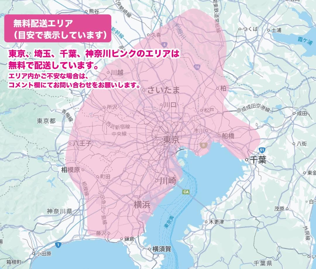 【PANASONIC】20インチ子供乗せ電動自転車ギュットアニーズ2519