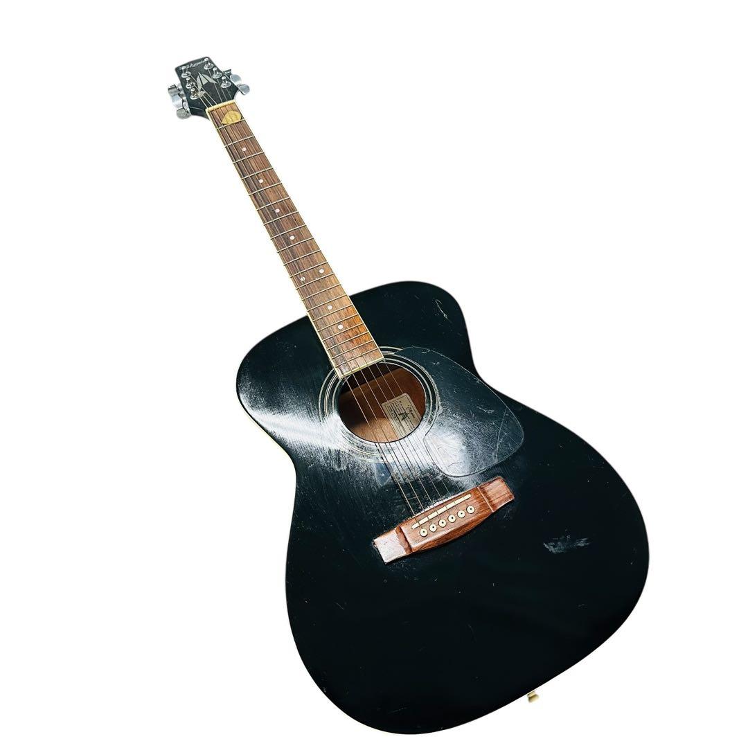 TAKAMINE タカミネ　アコースティックギター　T-F1