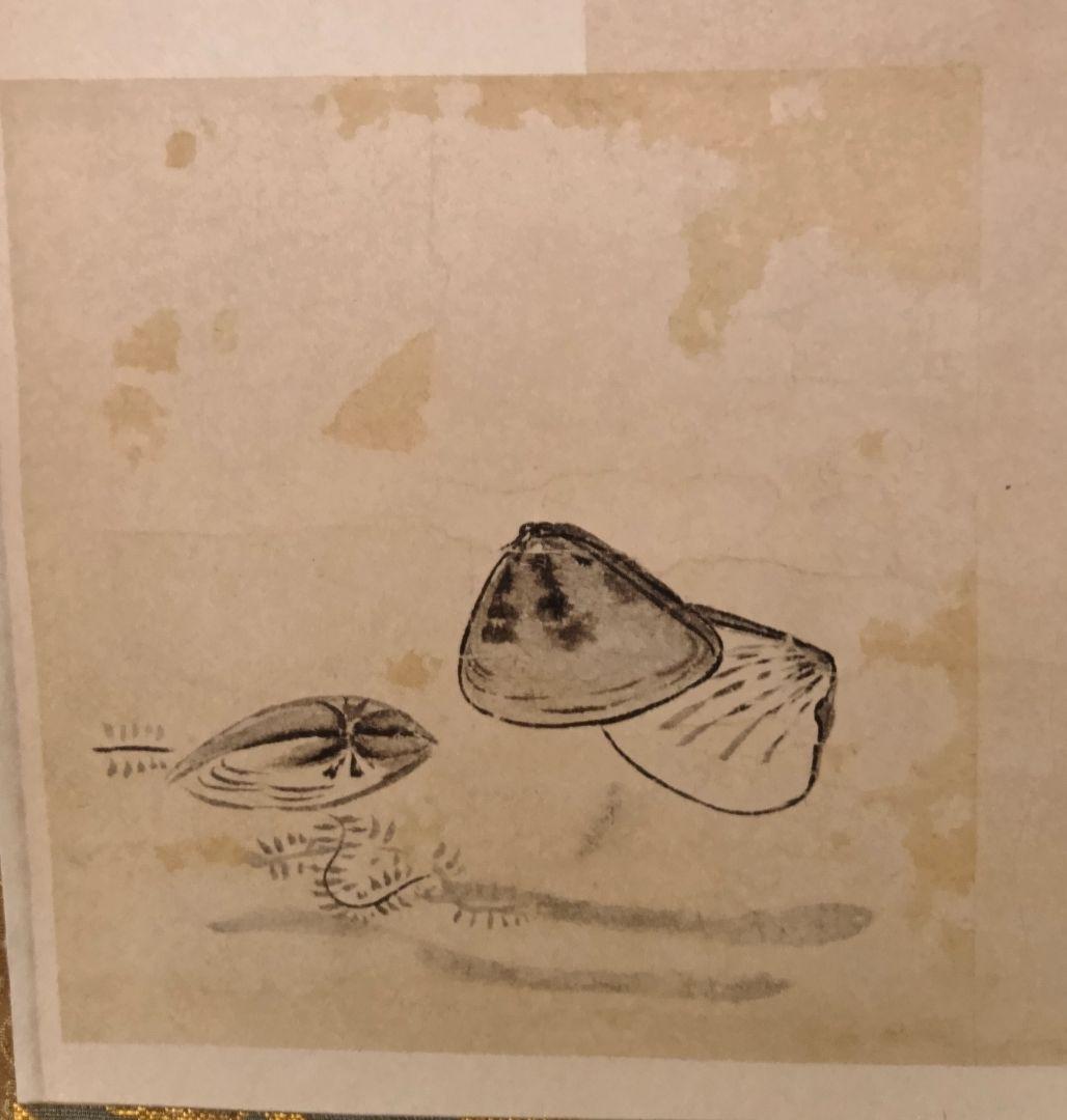 芭蕉真蹟掛軸「蛤の」画付色紙