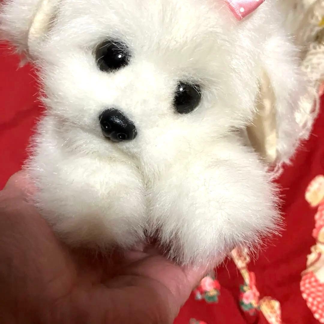 マルチーズぬいぐるみ　犬　白い犬　子犬　わんちゃん　レトロぬいぐるみ犬　リアル
