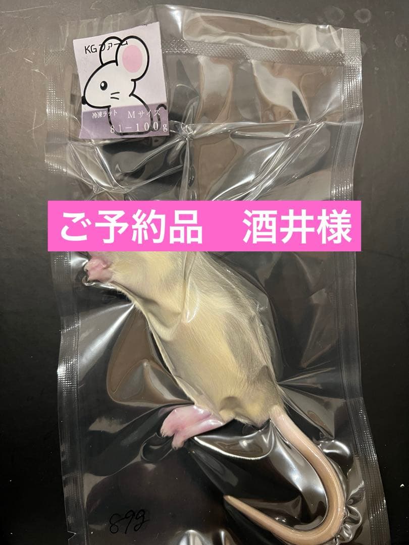冷凍ラット　ご予約品　酒井様