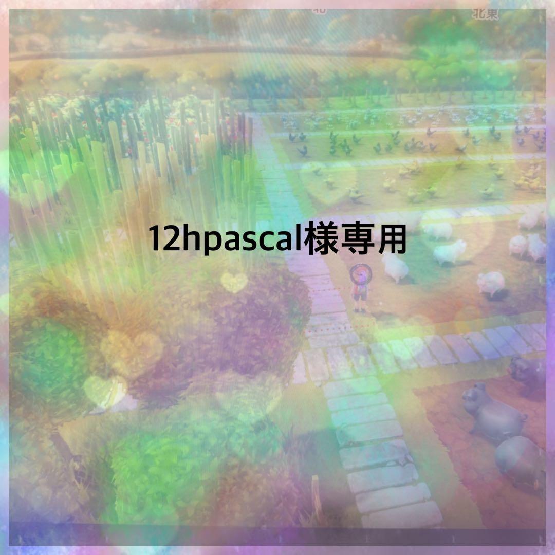 12hpascal（追加分）