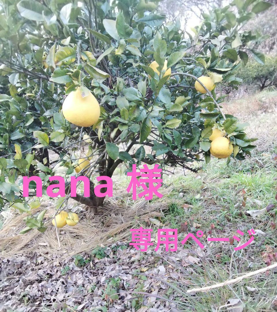 nana ページ