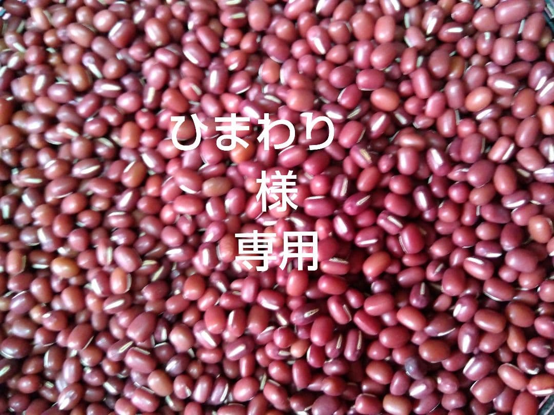 ひまわり　