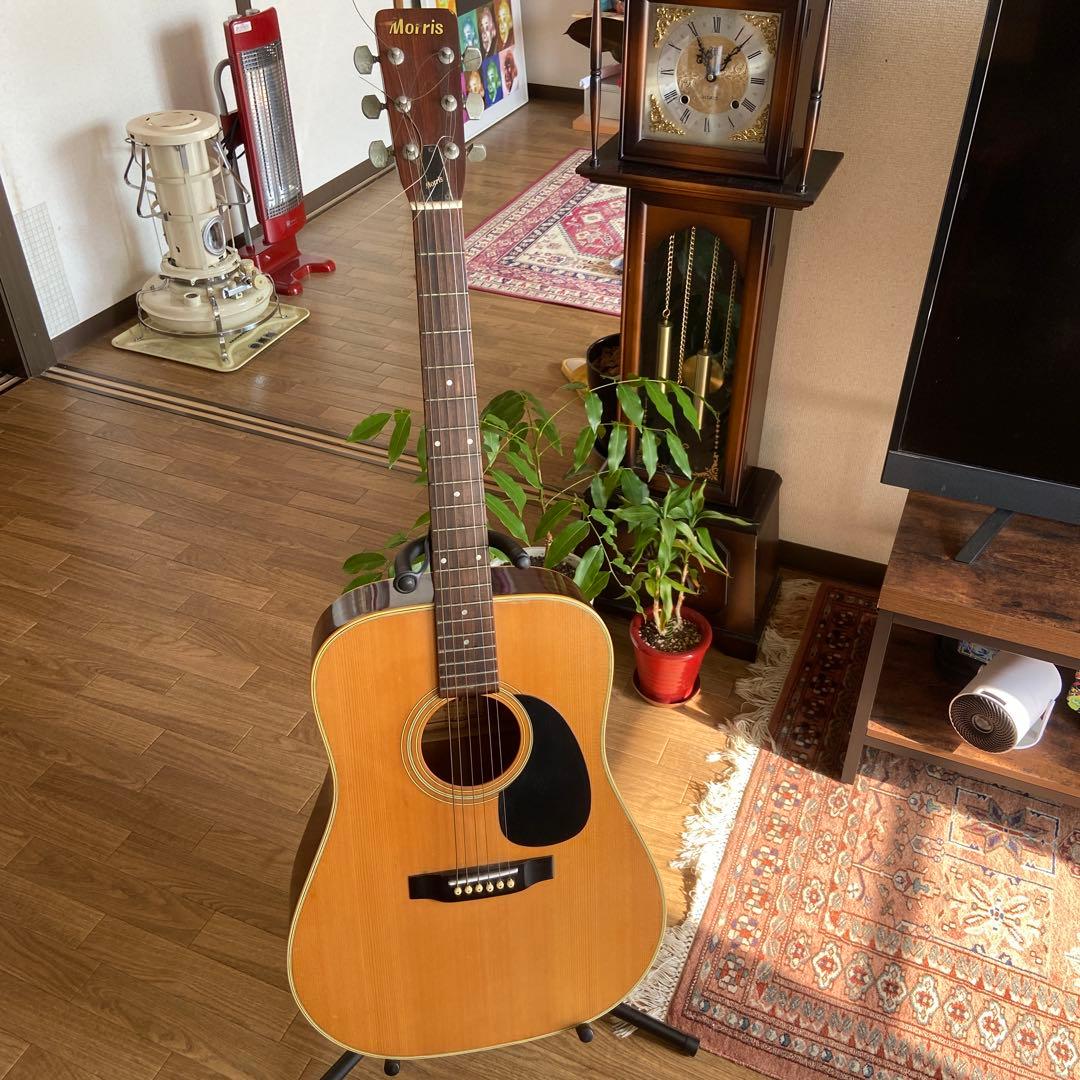 Morris W-20 アコースティックギター