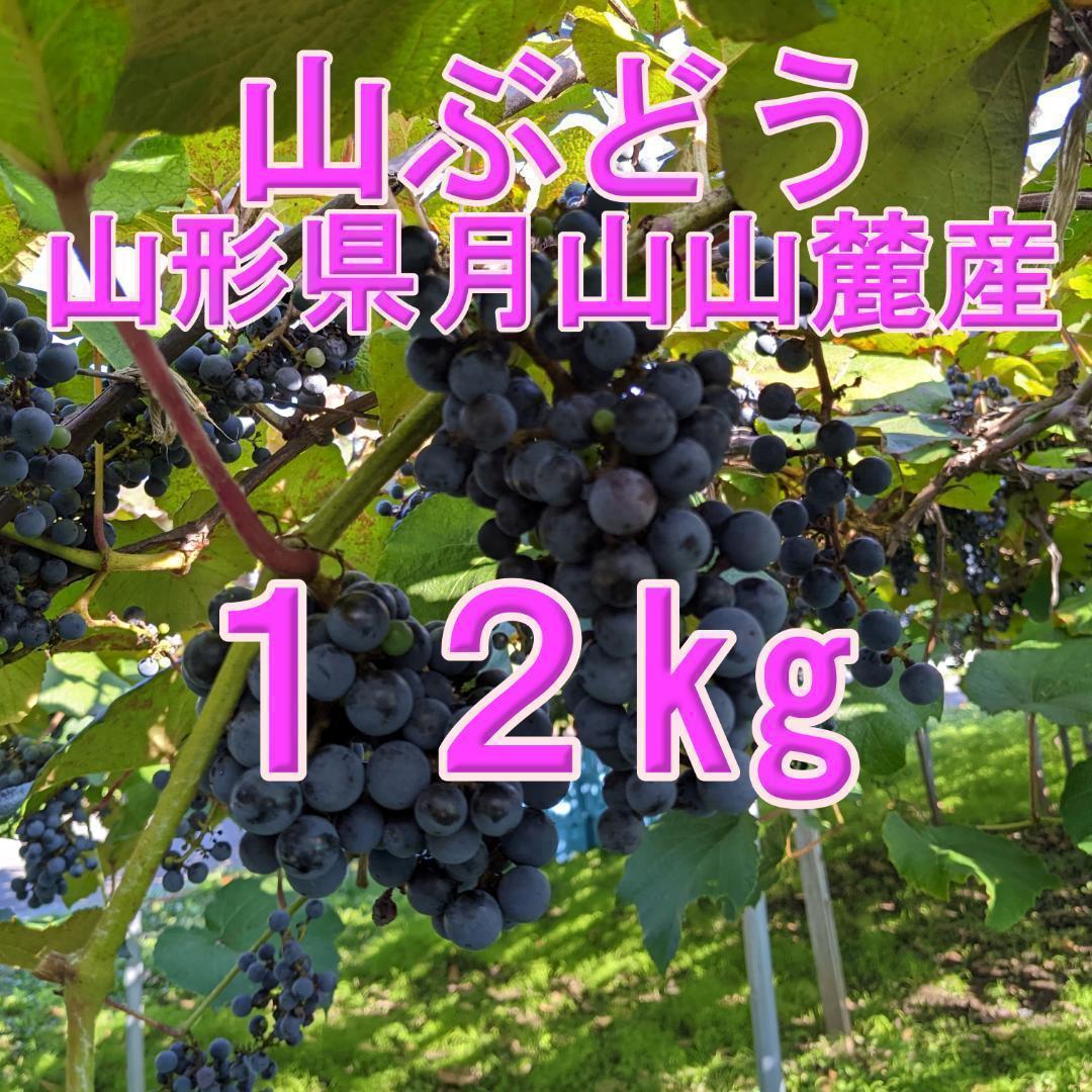 【チップ】山ぶどう １2㎏　山形県月山山麓産⑤